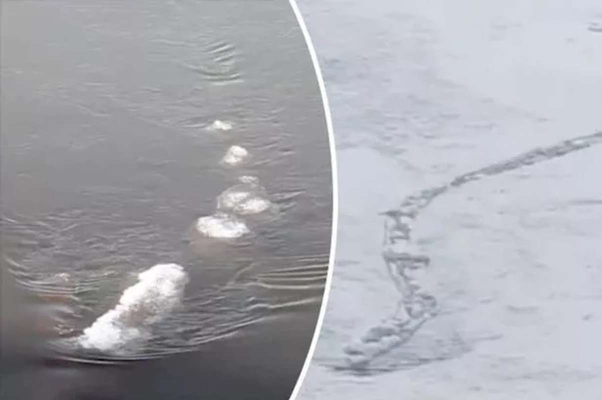             Nóng: Quái vật hồ Loch Ness có 'anh em' trú ngụ ở Alaska?    