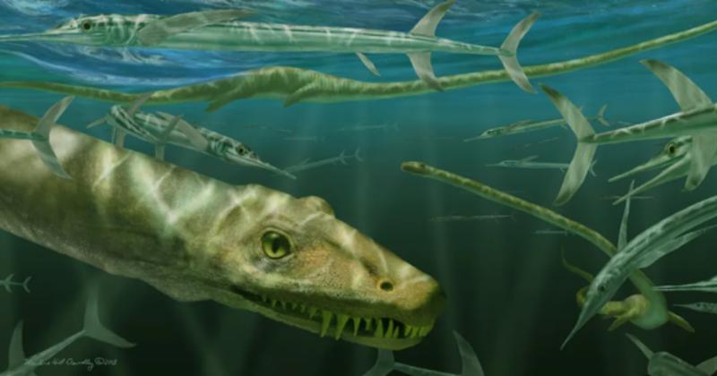             Phát hiện hóa thạch rồng cổ dài 2,3m, lộ sự thật chấn động    