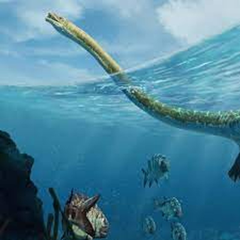 View -             Phát hiện hóa thạch rồng cổ dài 2,3m, lộ sự thật chấn động    