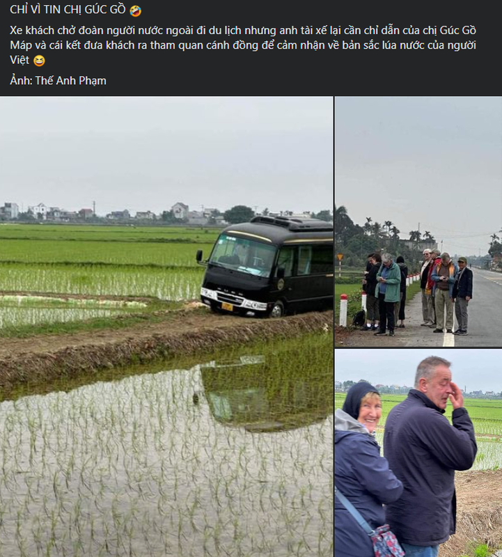 View -             Quá tin Google Map, đoàn du khách nhận cái kết đắng khi đến Việt Nam    