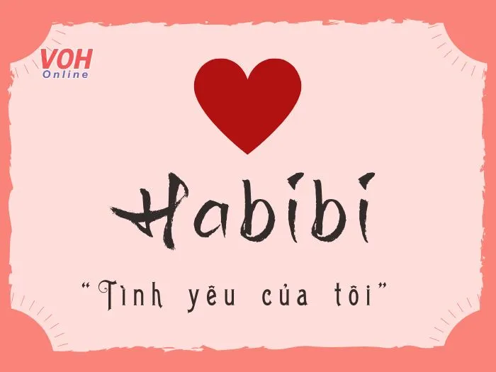  Habibi là gì Sử dụng habibi thế nào để không bị coi là thất thố 