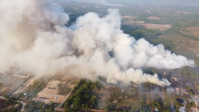View -             Phú Quốc đang cảnh báo cháy rừng cấp cực kỳ nguy hiểm    