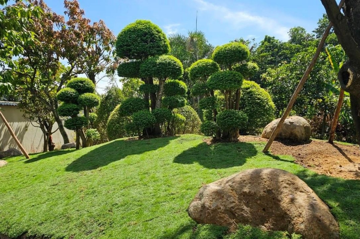 View -             Bên trong nhà vườn 2.500m2 của Việt Trinh sau giải nghệ    