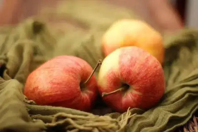             3 loại trái cây là 'vua hạ đường huyết', ăn thường xuyên có thể làm thông mạch máu, tuyến tụy trẻ ra nhiều tuổi    