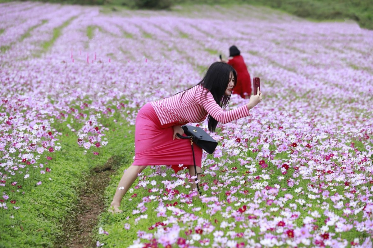 View -             Có tâm như đứa bạn thân: Bất chấp để chụp được ảnh đẹp    