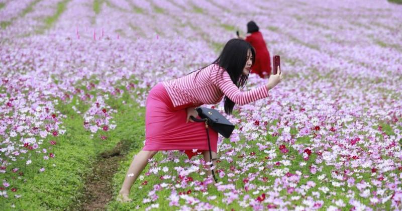             Có tâm như đứa bạn thân: Bất chấp để chụp được ảnh đẹp    