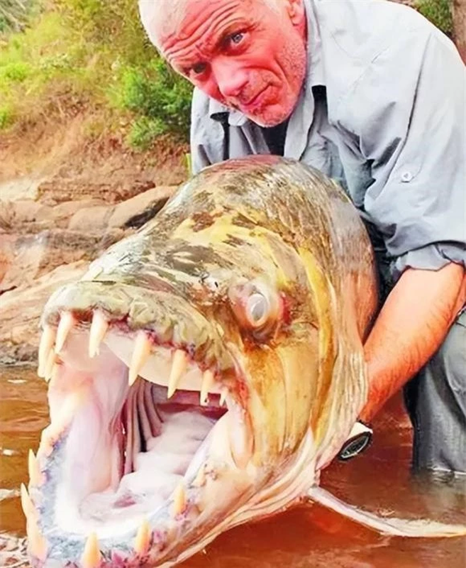             Bốn quái vật đáng sợ nhất sông Amazon    