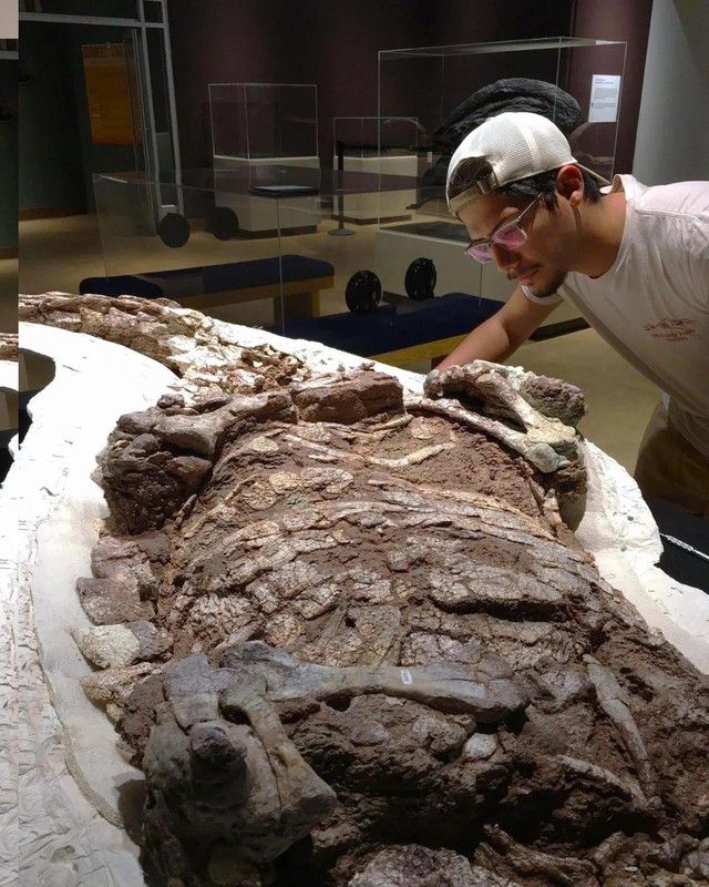 View -             Xuất hiện 'cá sấu quái vật' ở Mỹ, y như giáp long kỷ Jura    