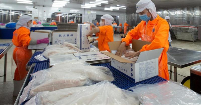             Lợi nhuận 2023 Thủy sản Nam Việt chỉ đạt 10,9% kế hoạch    