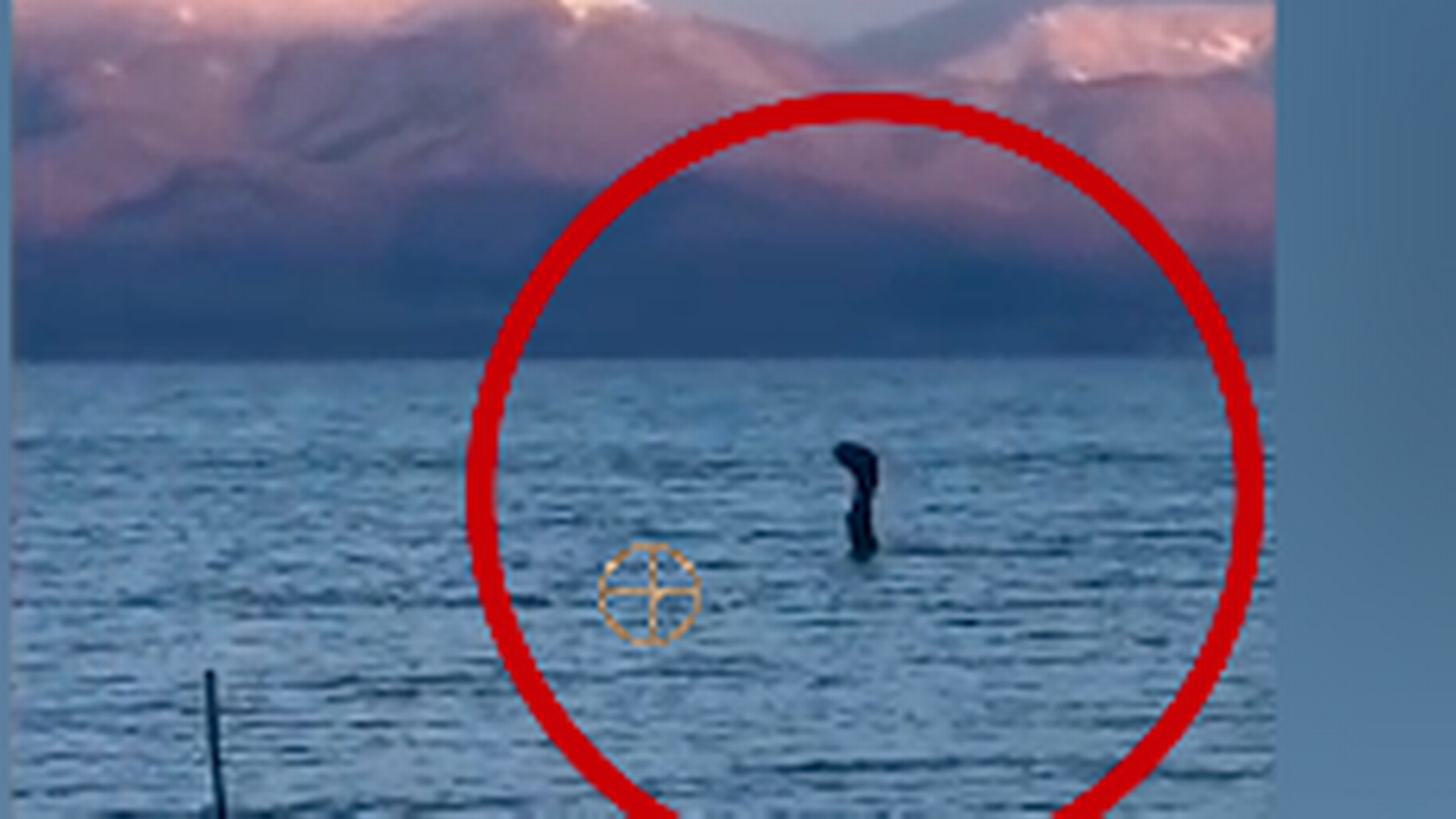 View -             Quái vật hồ Loch Ness là loài thằn lằn đầu rắn?    