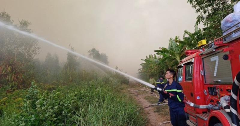 View -             Clip: Đang cháy rừng ở Cà Mau    