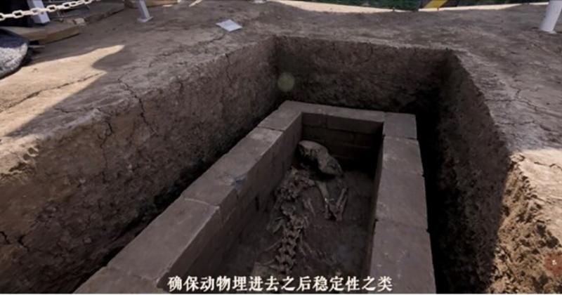             Khai quật lăng mộ hoàng đế Trung Quốc, lộ bí mật 'quốc bảo'    