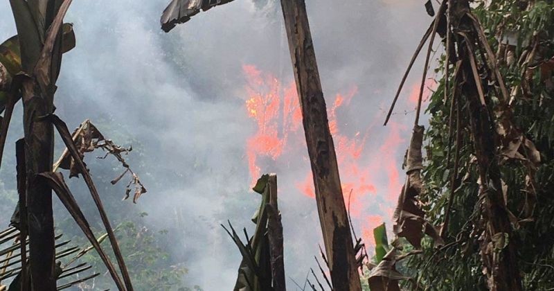View -             Tìm thấy thi thể người phụ nữ trong đám cháy rừng ở Điện Biên    