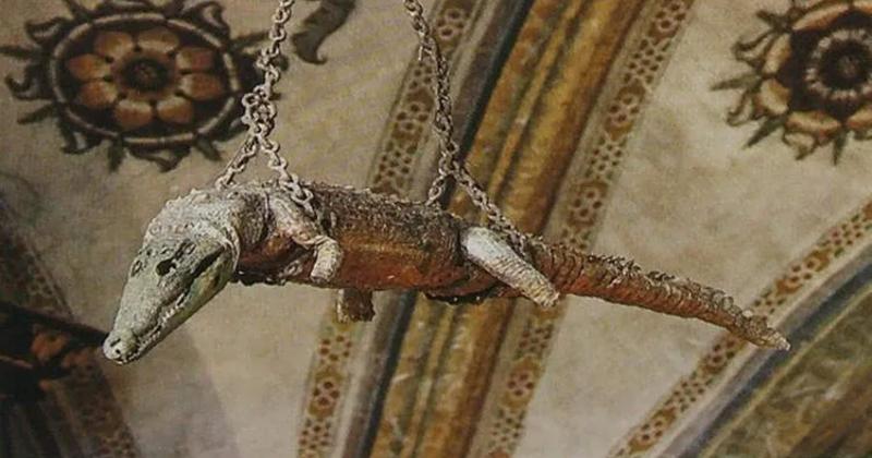 View -             Kỳ lạ nhà thờ Ý treo cá sấu 500 tuổi trên trần nhà    