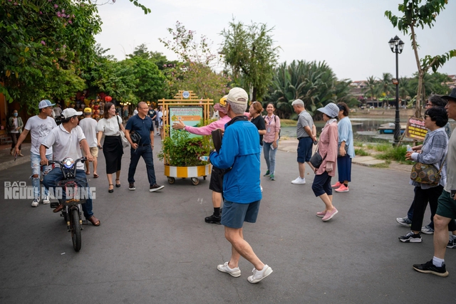 View -             HLV Park Hang-seo bất ngờ tham quan Hội An, chụp hình cùng du khách    