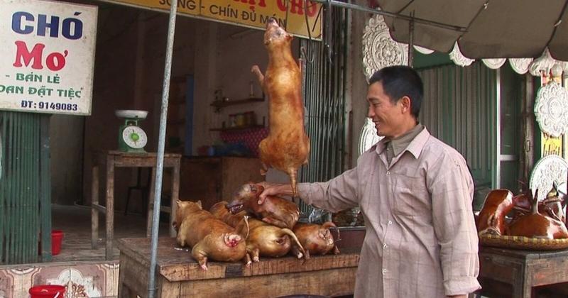             Món thịt chó ở Việt Nam 17 năm trước qua góc nhìn khách Tây    