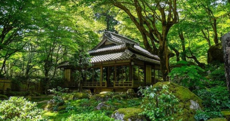             Chiêm ngưỡng ngôi đền 1500 năm tuổi nép mình giữa rừng cây tuyệt đẹp    