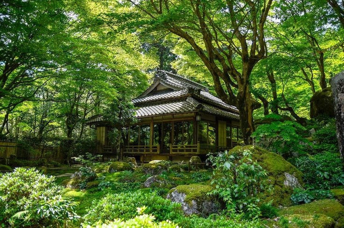 View -             Chiêm ngưỡng ngôi đền 1500 năm tuổi nép mình giữa rừng cây tuyệt đẹp    