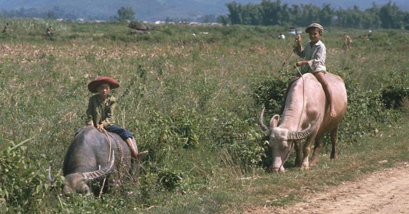 View -             Loạt ảnh cuộc sống thanh bình ở Điện Biên Phủ năm 1992    