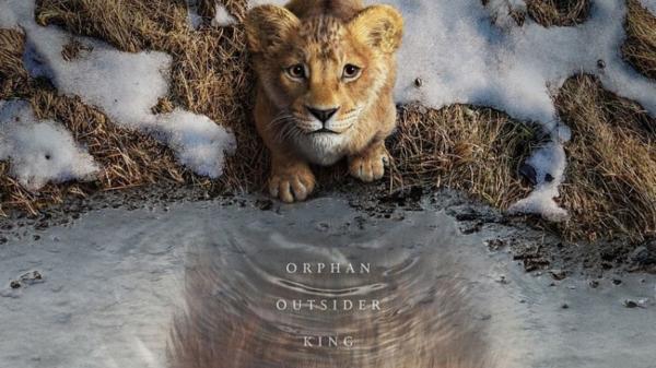 
Phần tiền truyện phim 'Vua sư tử' sẽ ra rạp vào cuối năm nay