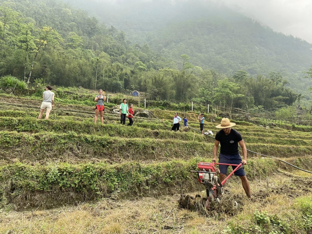 View -             Khách Tây cấy lúa, lội ruộng, tối về khen cơm ngon nức nở    