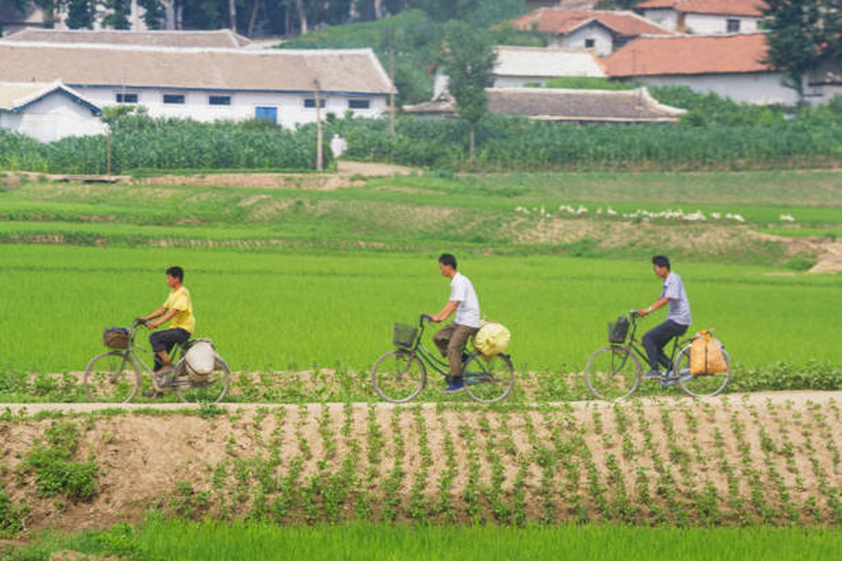 View -             Kinh ngạc cảnh bình dị về cuộc sống ở thôn quê Triều Tiên    