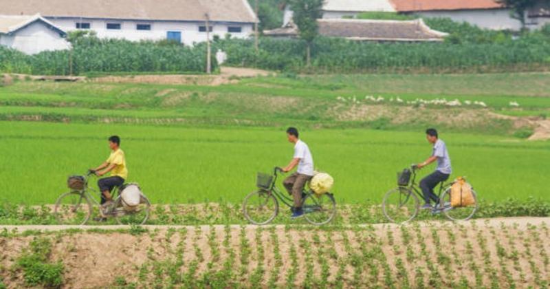 View -             Kinh ngạc cảnh bình dị về cuộc sống ở thôn quê Triều Tiên    