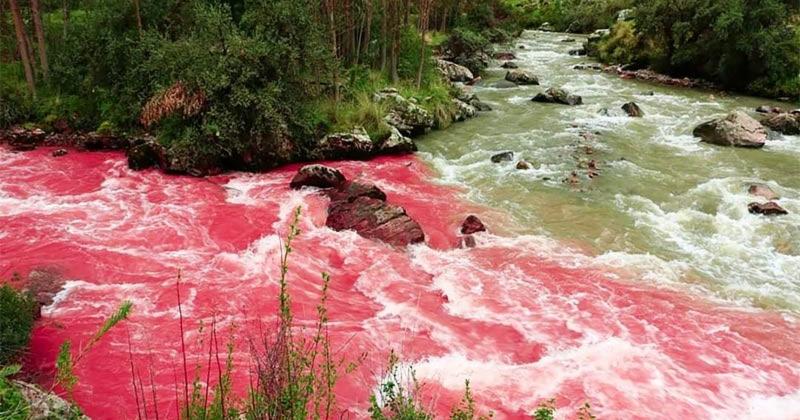 View -             Choáng váng dòng sông kỳ lạ nước đỏ như máu ở Peru    