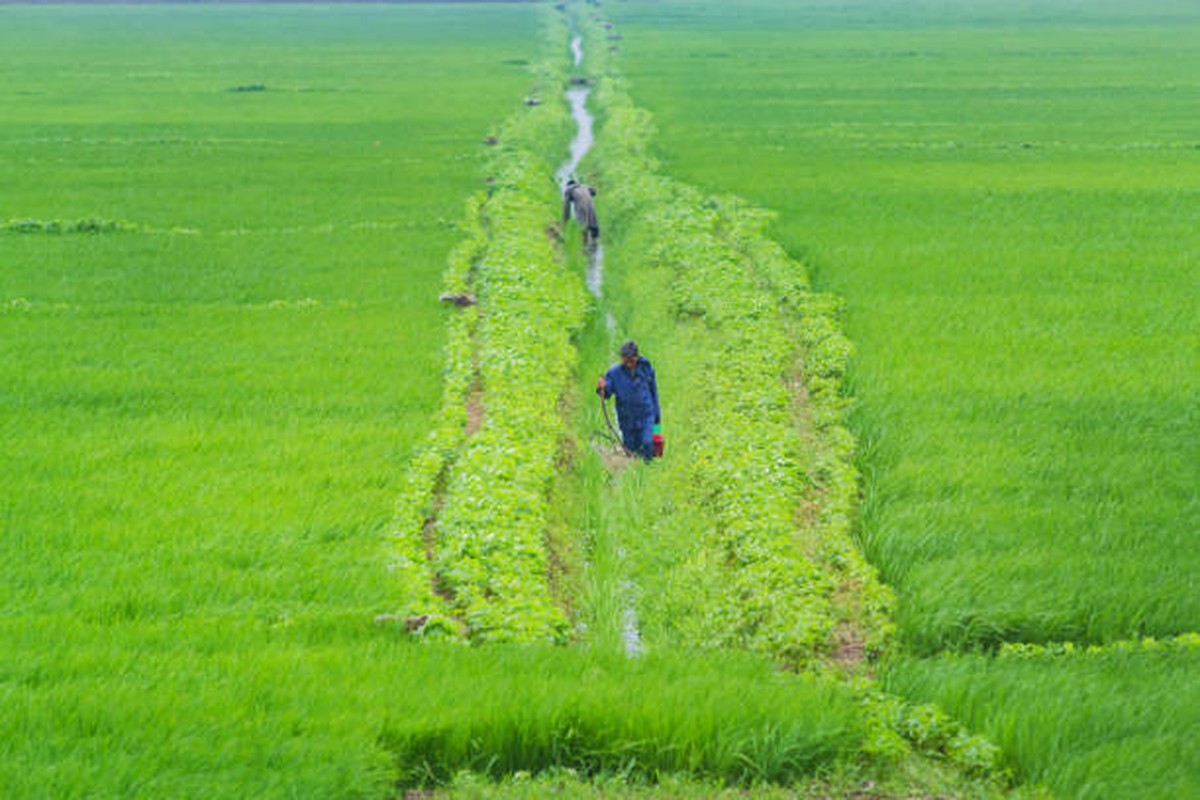 View -             Kinh ngạc cảnh bình dị về cuộc sống ở thôn quê Triều Tiên    