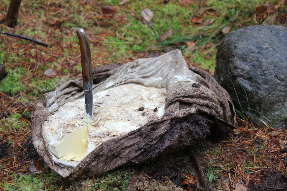View -             Vớt tảng bơ cổ 2.000 năm dưới đầm lầy, chuyên gia phán 'ăn tốt'    