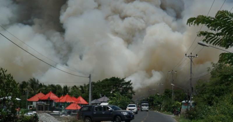 View -             CLIP: Cháy lớn tại Vườn Quốc gia Tràm Chim, cột khói cao hàng chục mét    