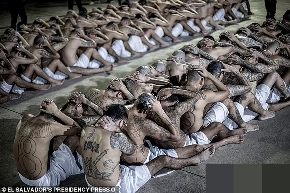 View -             Kinh hãi bên trong nhà tù 'địa ngục' ở El Salvador    