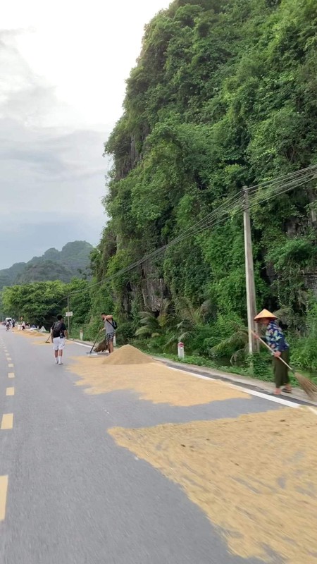 View -             Khách Tây qua Việt Nam du lịch hào hứng đi cày, lội ruộng    