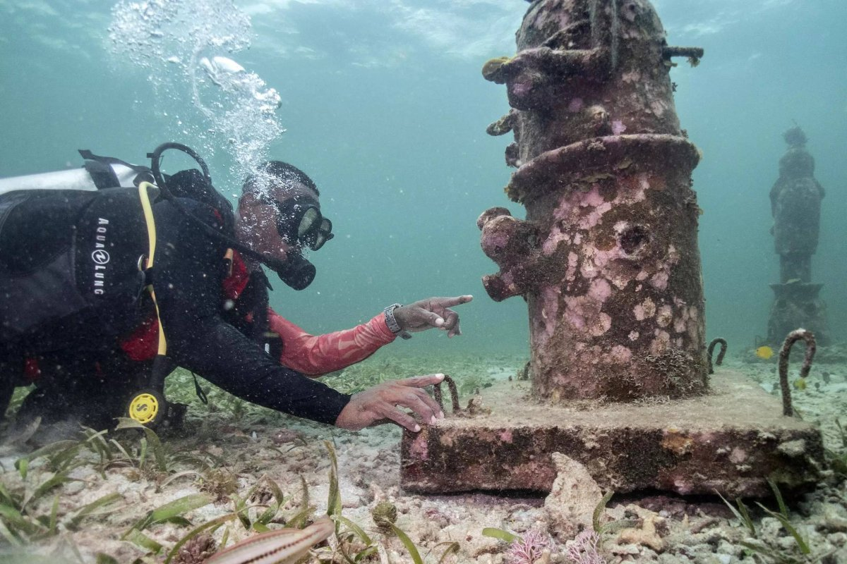 View -             Tạo 'nhà mới' cho san hô: Dự án độc đáo tại biển Caribe    