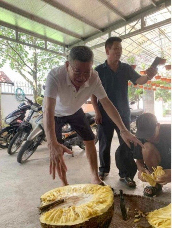 View -             Netizen tò mò quả chủ nhà bổ quả mít 'khủng' gần 55kg    