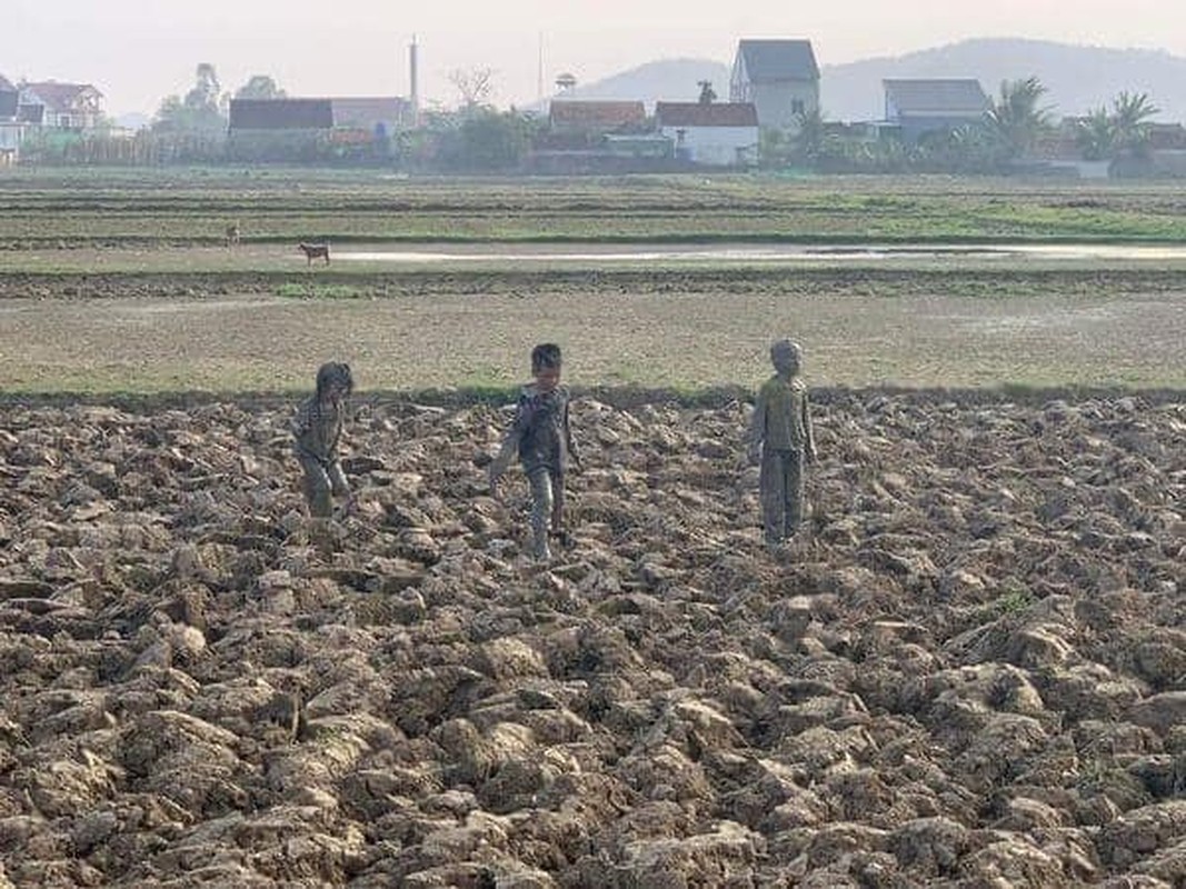 View -             Bà ngoại 'sang chấn tâm lý' với pha 'tắm bùn' của những 'búp măng non'    