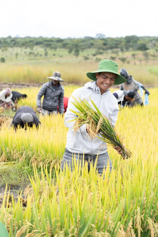 View -             Quang Linh trồng lúa thành công, Bộ trưởng Nông nghiệp Angola đến thăm    