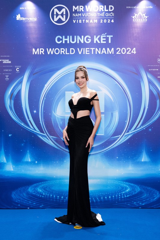             Dàn hoa hậu lộng lẫy trên thảm đỏ chung kết Mr World Vietnam 2024    