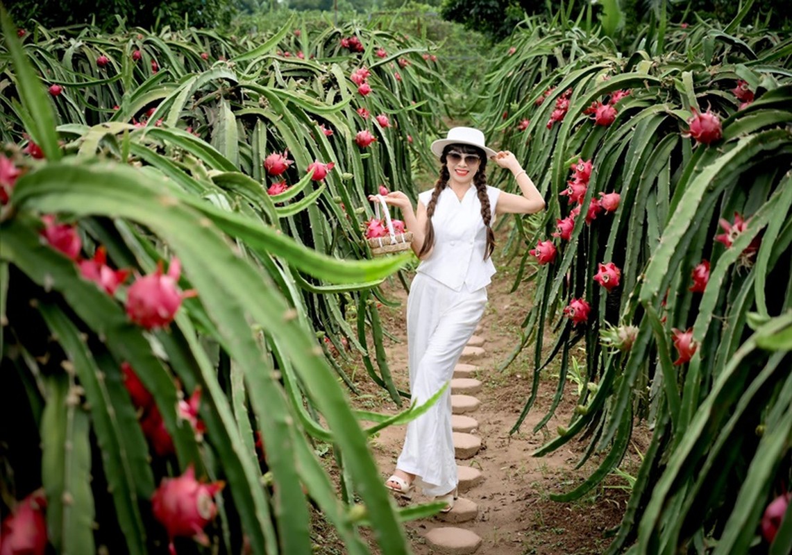 View -             Mẹ ruột trẻ đẹp của Thúy Hằng - Thúy Hạnh    