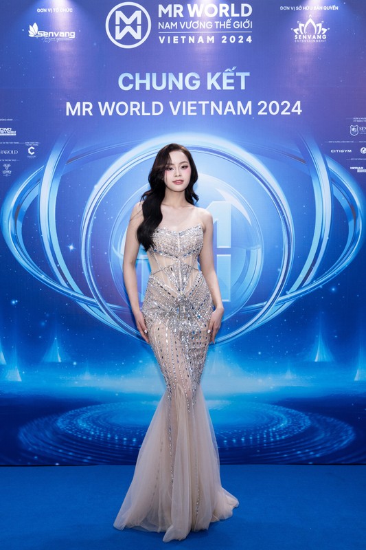 View -             Dàn hoa hậu lộng lẫy trên thảm đỏ chung kết Mr World Vietnam 2024    