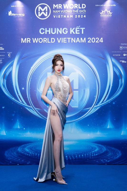 View -             Dàn hoa hậu lộng lẫy trên thảm đỏ chung kết Mr World Vietnam 2024    