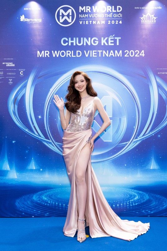 View -             Dàn hoa hậu lộng lẫy trên thảm đỏ chung kết Mr World Vietnam 2024    