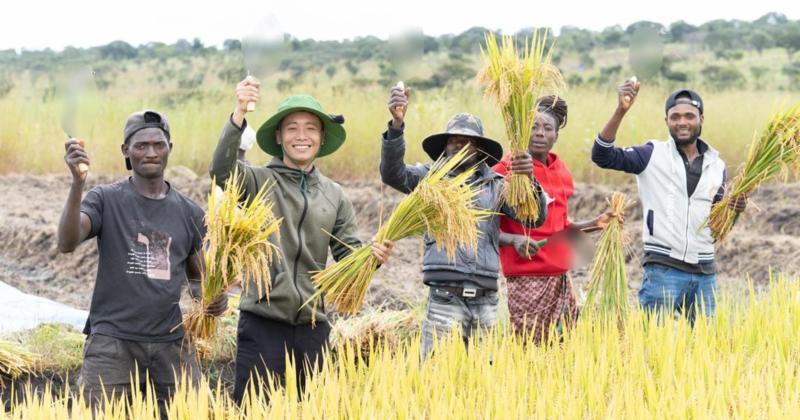             Quang Linh trồng lúa thành công, Bộ trưởng Nông nghiệp Angola đến thăm    