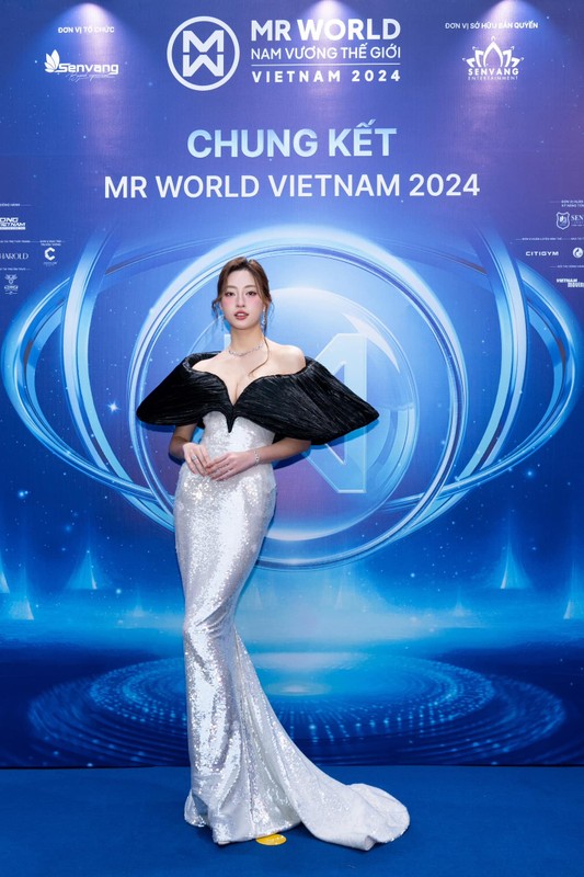 View -             Dàn hoa hậu lộng lẫy trên thảm đỏ chung kết Mr World Vietnam 2024    