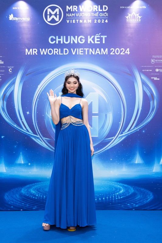 View -             Dàn hoa hậu lộng lẫy trên thảm đỏ chung kết Mr World Vietnam 2024    