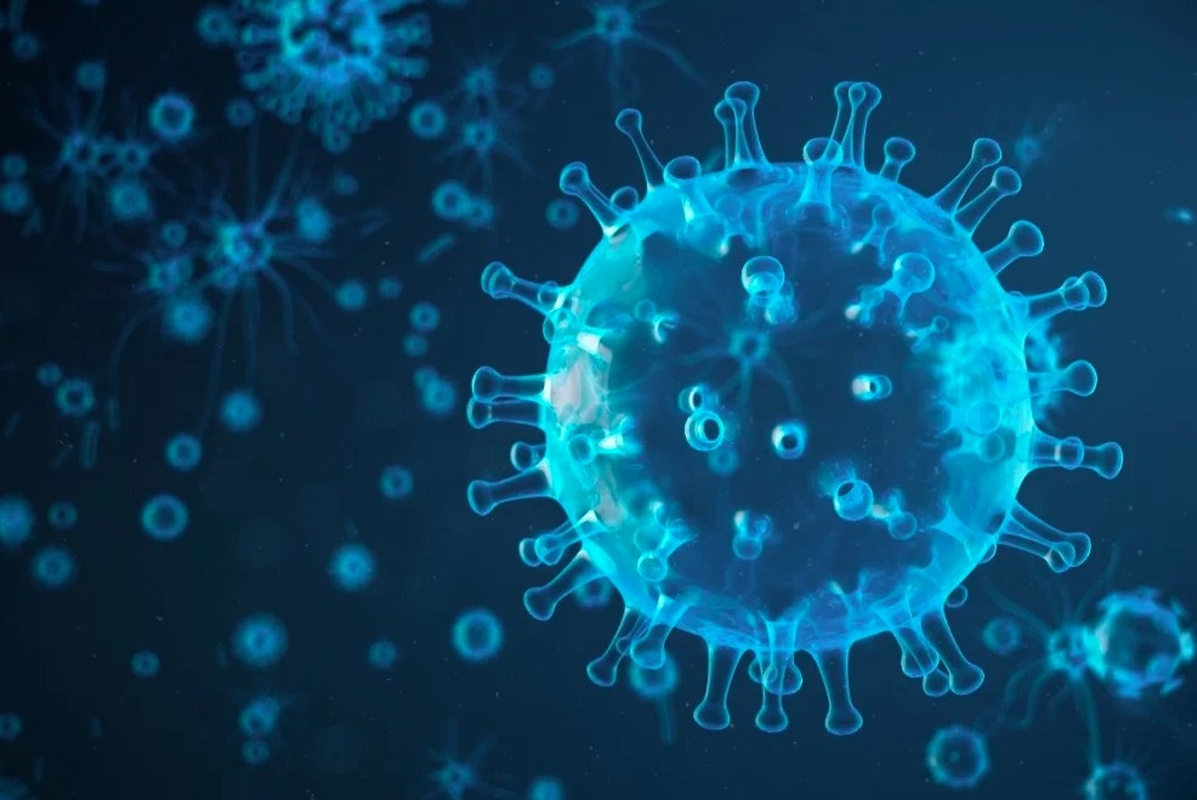 Top 8 Loại Virus Nguy Hiểm Nhất Hành Tinh đoạt Mạng Người Hàng Loạt 