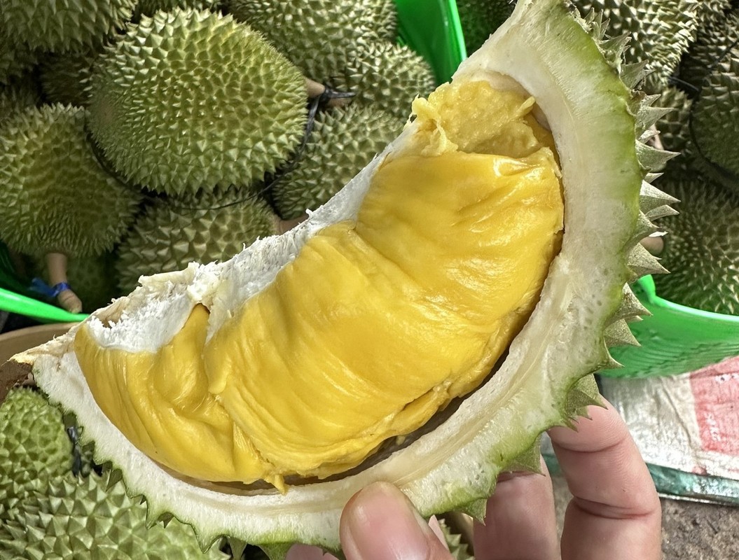 View -             Trước khi rớt giá thê thảm, sầu riêng Musang King đắt cỡ nào?    