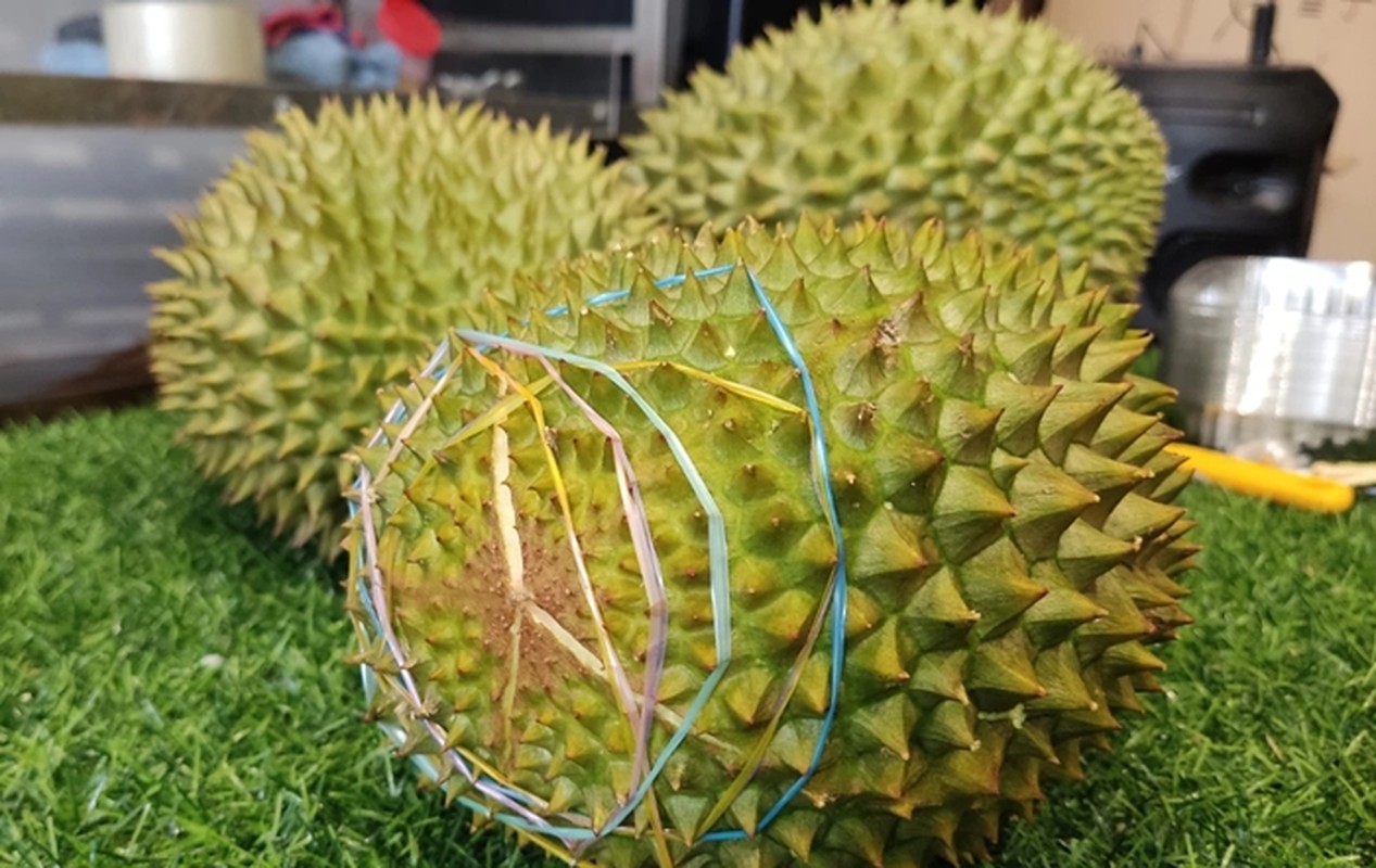             Trước khi rớt giá thê thảm, sầu riêng Musang King đắt cỡ nào?    