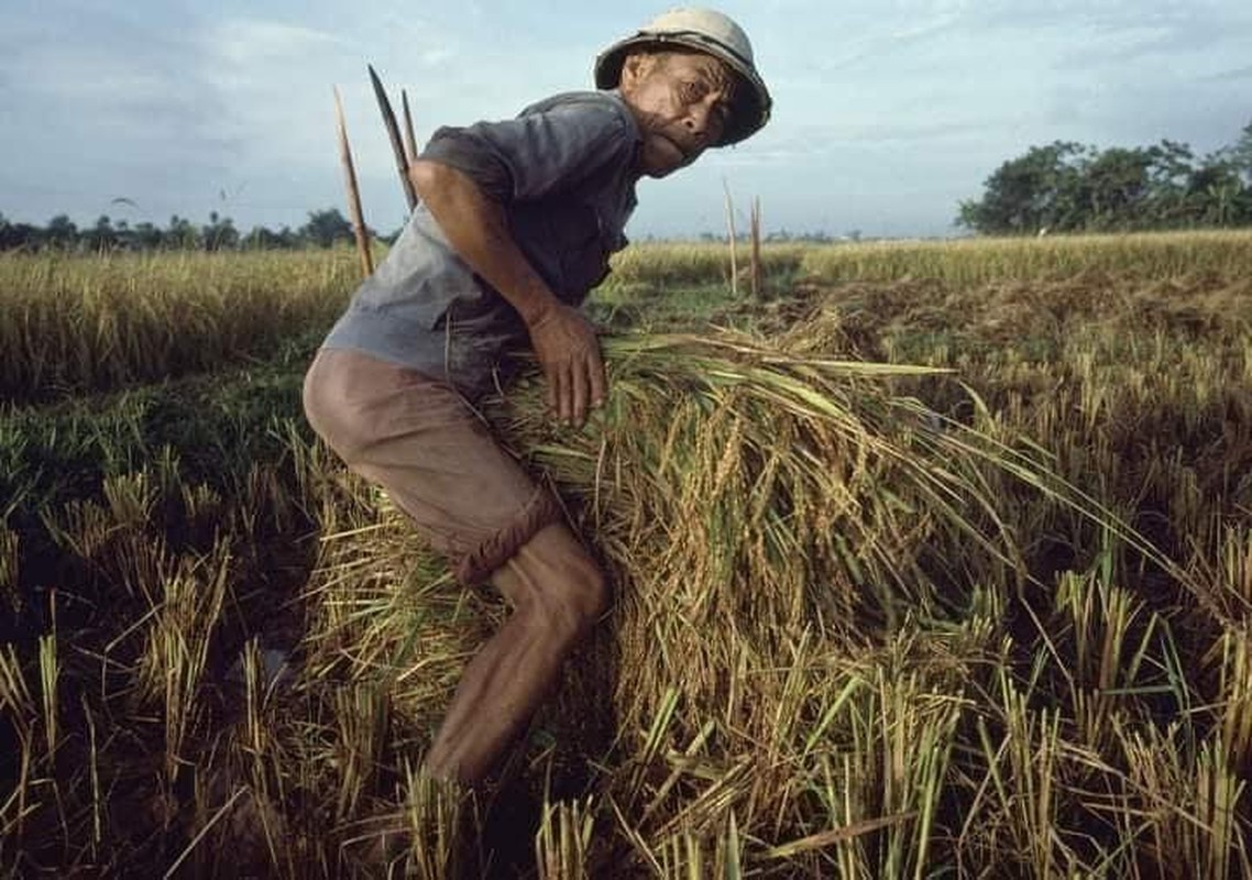 View -             Bộ ảnh 'Việt Nam những năm 1988-1990' đẹp đến nao lòng    