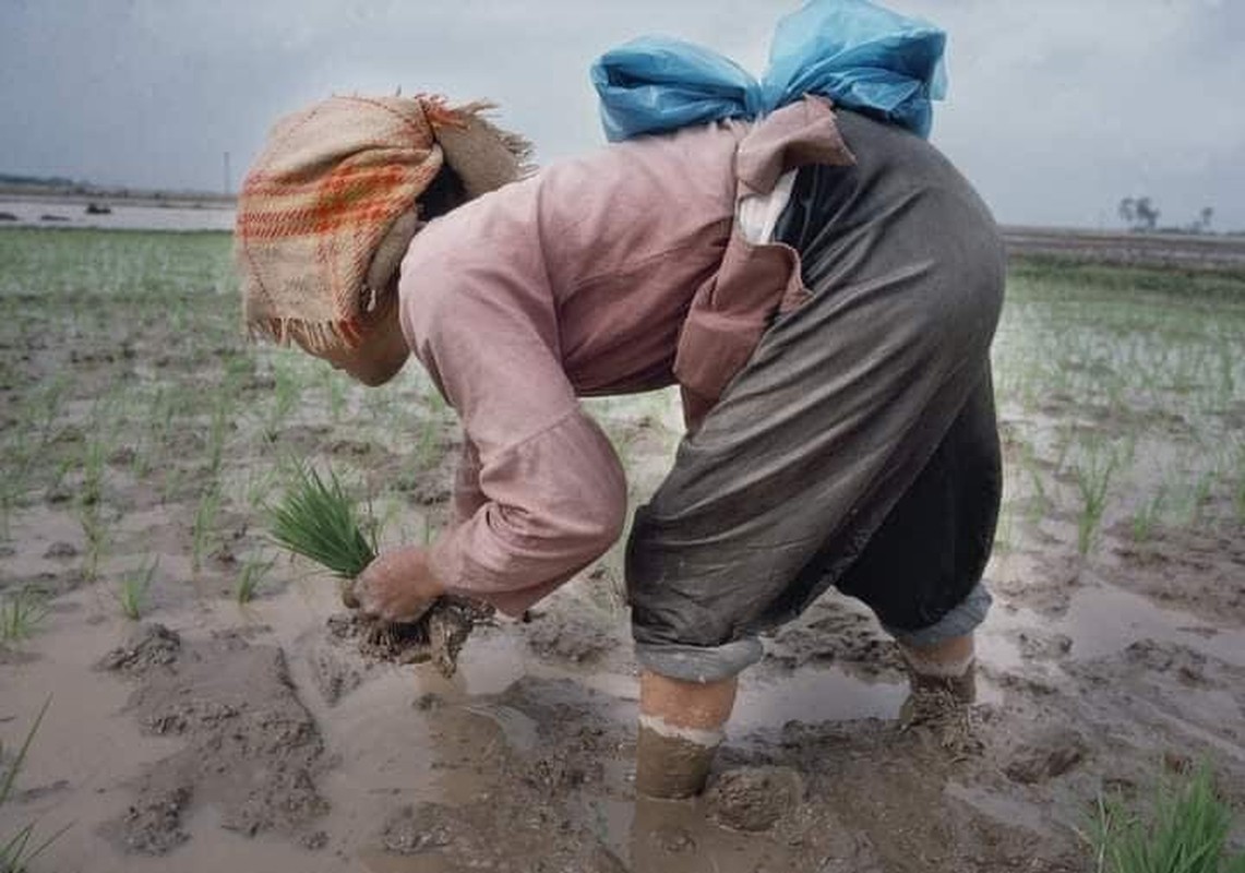 View -             Bộ ảnh 'Việt Nam những năm 1988-1990' đẹp đến nao lòng    